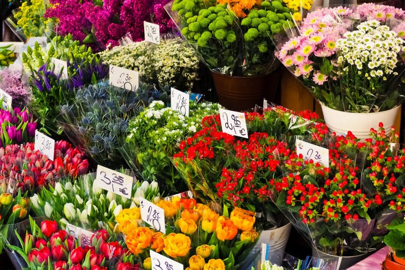 Jak prodávat řezané květiny z vaší malé zahrady nebo farmy