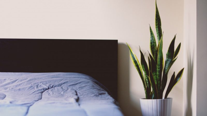 Jak opravit propadlou postel? 6 nejlepších metod!