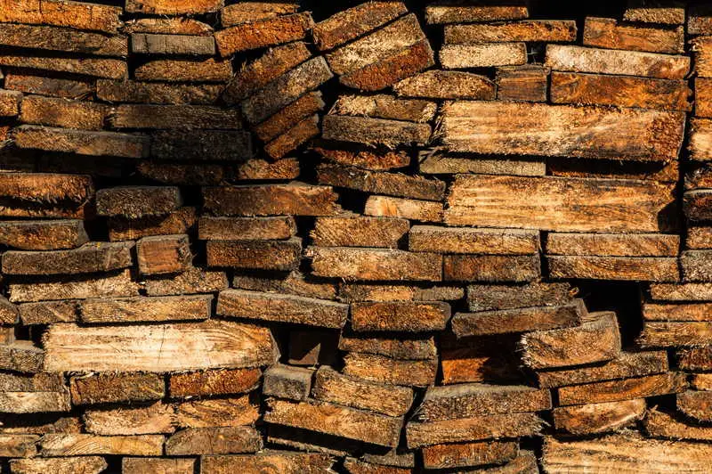 Jak odstranit plíseň z hrubého řezaného dřeva: 5 jednoduchých kroků pro kutily