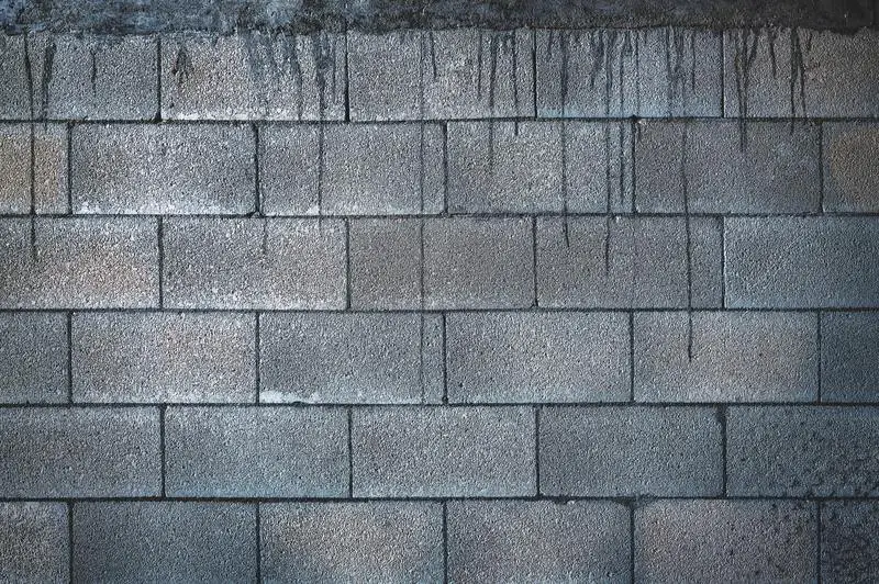 Jak se zbavit plísní na betonových stěnách: 5 jednoduchých kroků