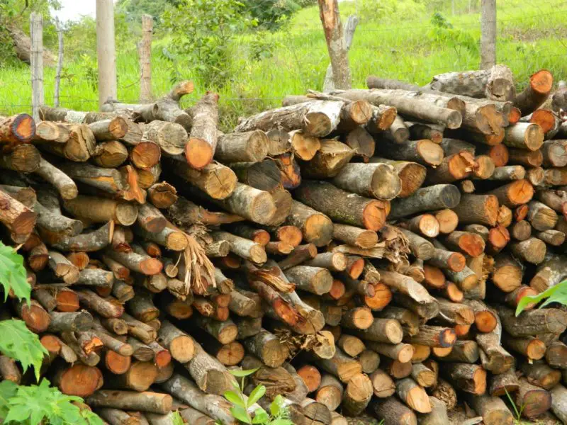 Co je to sporák na dřevo? 3 úžasná fakta