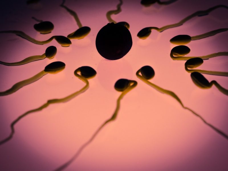 Co znamená NI v dárcovství spermií? 2 nevýhody