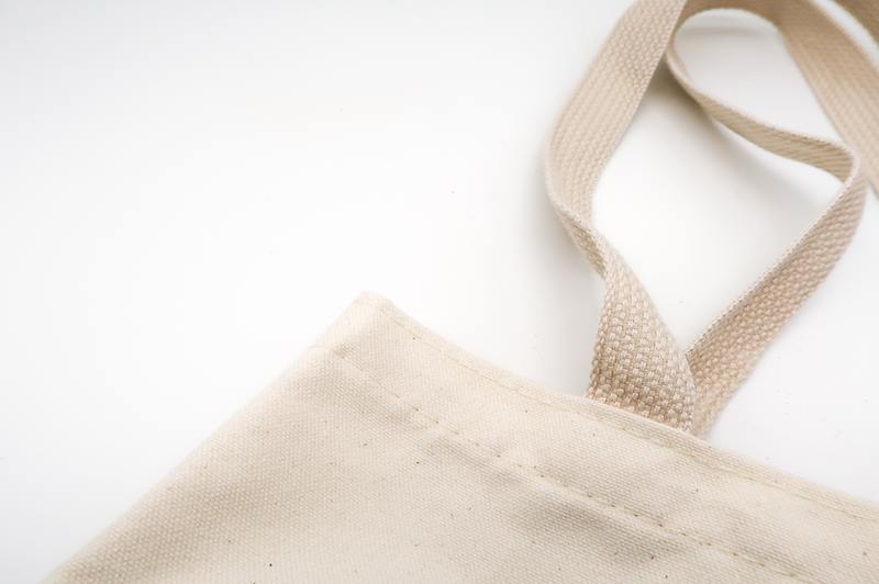 Jak odstranit plíseň z plátěných tašek: 2 nejlepší řešení