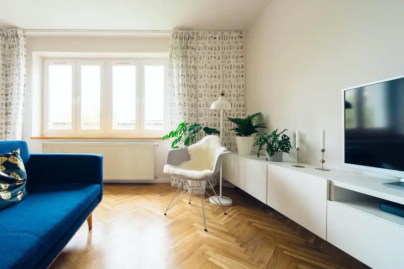 Jak se zbavit zápachu plísní v bytě: 5 užitečných kroků