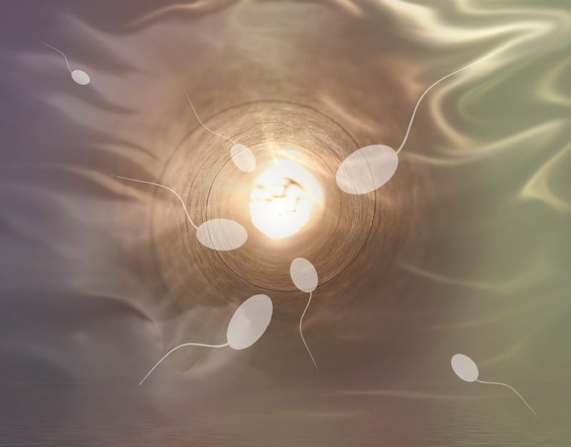 Jaký je proces dárcovství spermií? 6 překvapivých věcí
