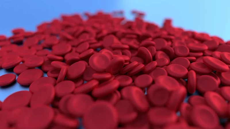 Kolik hemoglobinu klesne po darování krve? Zajímavá fakta