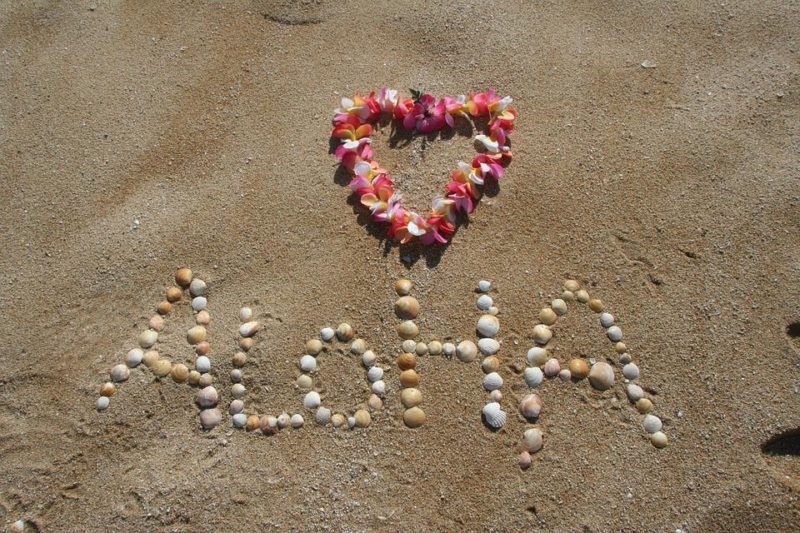 Kolik stojí svatba na Havaji: členění